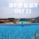 ㈜월드평화관광 | &lt;제주 한 달 살기 DAY 23&gt;비양도/신화월드(신화관, 워터파크)/동문시장(우리수산)