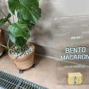 사림동154 이미지