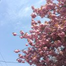 재철농장 이미지