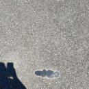 스테이칸 이미지