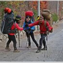 노고지리 이미지