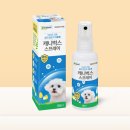 동국영상가요주점 | [동국제약 캐니벅스] 동국제약 캐니벅스 벌레스프레이 여름 강아지 산책 필수템
