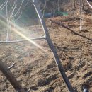 종근목장 이미지