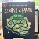 (주)메디칼시냅스 | [서평 건강] 브레인 리부트 - 죽을 때까지 늙지 않는 두뇌의 비밀