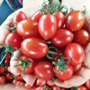 국희농장 이미지