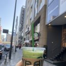 신미술관 | 도쿄신미술관,21_21디자인사이트 방문기(2026.1.)