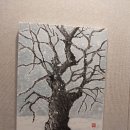수목화 이미지