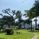 제주도 게스트하우스파티 빅썸 이미지