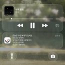 개미똥구멍 | 2026.03 🌼💊💬