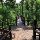 힐링건강랜드 이미지