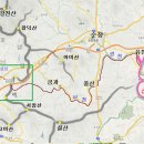 대나무골농장 이미지