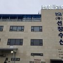 경기 화성 회 센터 "선창수산" 흰다리새우 납치 후기