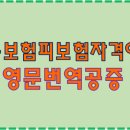 강동공인외국어번역행정사 이미지