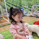 내동농장 이미지