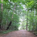 용대자연휴양림캠핑장 | 백담사에서 봉정암까지 당일 등산 코스