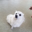 포승산단로 이미지