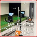 메트로스크린 골프존 | [복땅이 골프] 당산,영등포 스크린골프 추천! SM골프아카데미&amp; 골프존 스크린후기