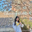 실란트로(주) | 광진] 서울 목련 카페 실란트로 커피 실시간 개화...대공원 근처 카페 주차 포토존 애견동반 솔직 후기