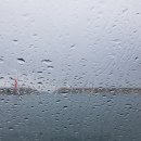 횡계의원 | 2021년 8월 15일. 삼척 갈남항에서 근사하게 자세잡고 새로산 책보고 오려고 했는데...