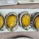 오렌지 펜션 이미지