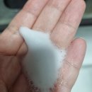 그린워시 | 에이센트 퍼퓸드 버블 핸드워시 그린에어리 후기