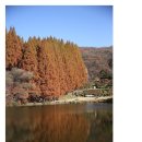 11/24 용인 외대글로벌 캠퍼스 이미지