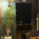 수수민박 티스토리
