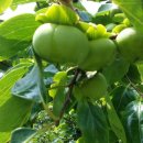 복만농장 이미지