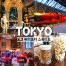 앨리의씨크릿 | 도쿄 해리포터 스튜디오 투어 입장권 예약 가격 가는법 관람 팁 후기