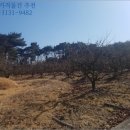 상천리-2 이미지