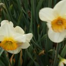 하경 카카오 검색결과