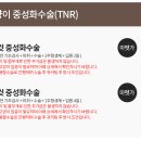 화신종합동물병원 이미지