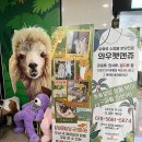 와우쥬 양산점 이미지