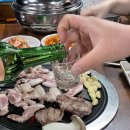 솔내촌