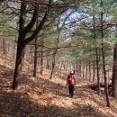 용두레마을 Daum카페