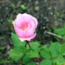 상신한의원 이미지