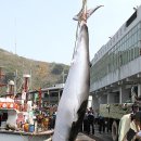 바다축산 이미지