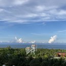 버드마트 이미지