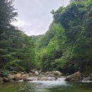 그린농원민박 이미지