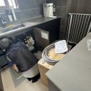 그림나라어린이집 | 24.8월 4주차 솜이 생활기록 8/19-8/25