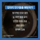 우리동물메디컬센터 이미지