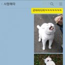 굿아이디어