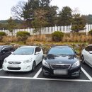 애니멀케어 | 아이랑 가기 좋은 대전 실내 동물원 : 🐾애니멀스타 솔직후기 + 주차정보