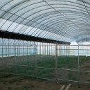 강변 농장 이미지