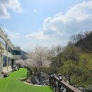 헤세디온 이미지