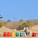 수훈목장 | [대관령 하늘목장] 중형견 진돗개 입장후기, 반려견운동장