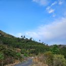 그리고 캠핑장 이미지