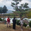 젤루느린달팽이 이미지