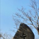 고잔서울약국 이미지
