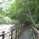 개울옆길 이미지